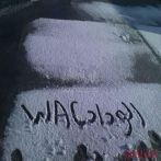 Wydad casablanca sur yala.fm